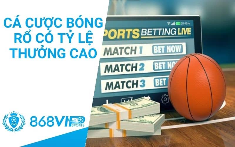 Cá cược bóng rổ đem đến tỷ lệ thưởng cao