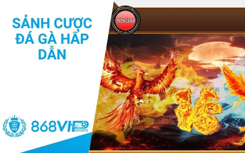 Đá gà 868VIP mang đến 2 sảnh cược hấp dẫn với tỷ lệ thưởng cao