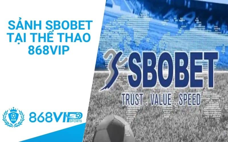 Sảnh SBOBET cập nhật các sự kiện thể thao mỗi tuần