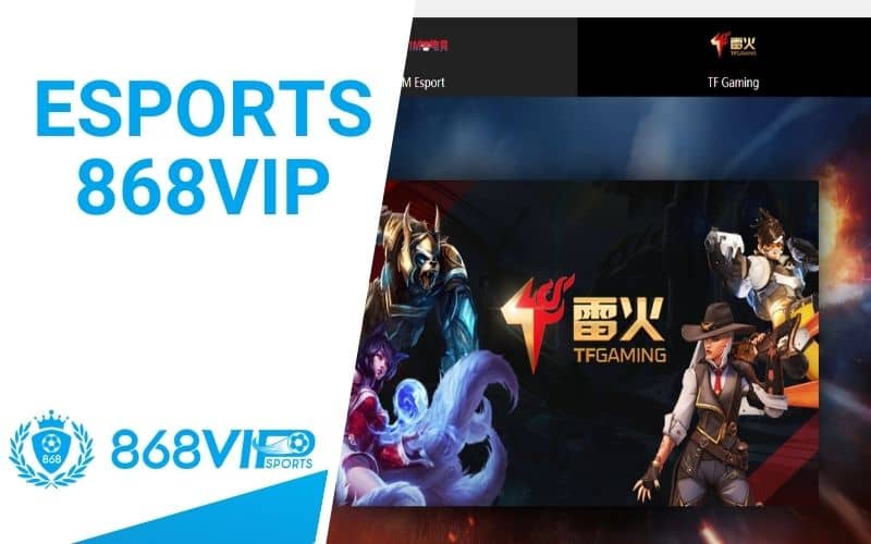 Esports 868VIP có hàng trăm giải đấu và kèo cược